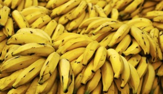 Plátano: Curiosidades y beneficios